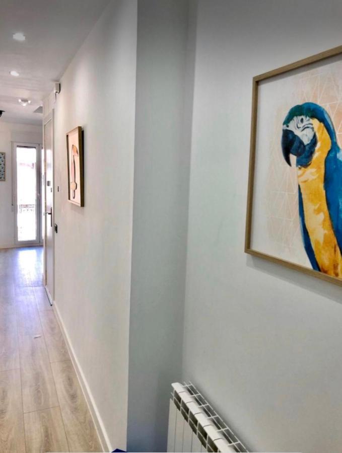 Apartamento Vive Zaragoza II Dış mekan fotoğraf